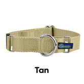 5/8" and 1" Tan Nylon Martingale Dog Collar